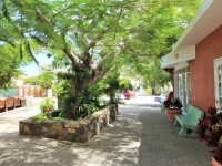 Tamarind Studio 25