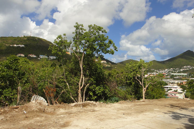 Belair Ocean View Lot