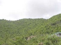 Cole Bay Land