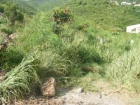 Diamond Hill Land