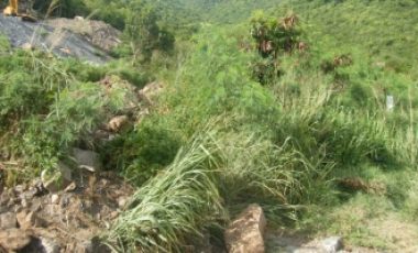 Diamond Hill Land