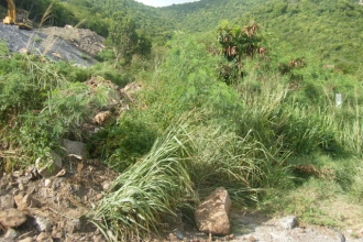 Diamond Hill Land