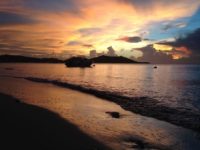 Flamboyant Beach Front 4,5