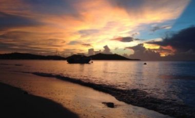 Flamboyant Beach Front