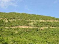 Mandara Residence Land