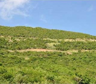 Mandara Residence Land