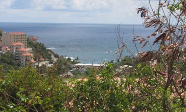 Ocean View Terraces