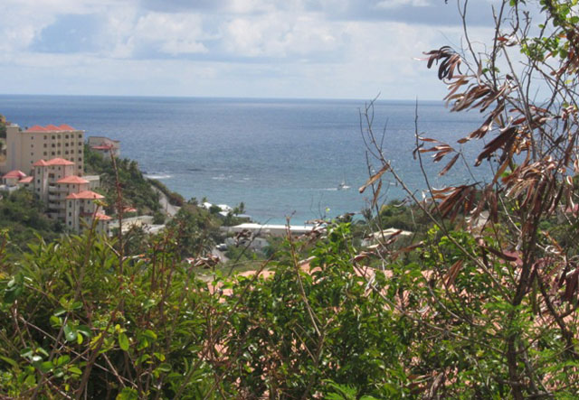 Ocean View Terraces