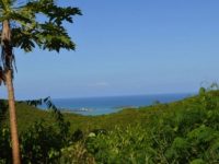 Swing Estate Land