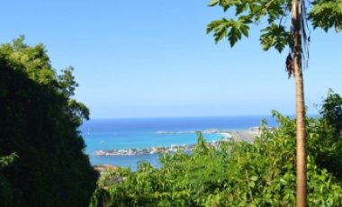 Swing Estate Land
