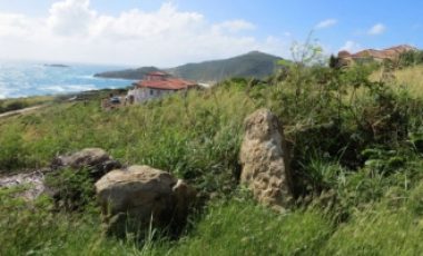 Tamarind Hill