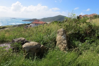 Tamarind Hill
