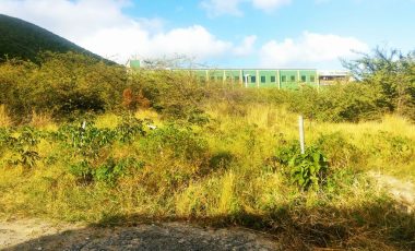 Commercial Opportunity