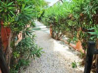 Villa Palmier Exquisite