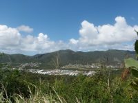 Rice Hill Gardens Lot