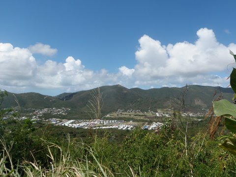 Rice Hill Gardens Lot