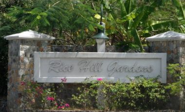 Rice Hill Gardens Lot
