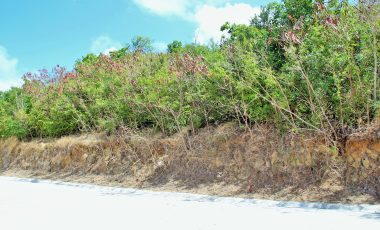 Rice Hill Estate Lot