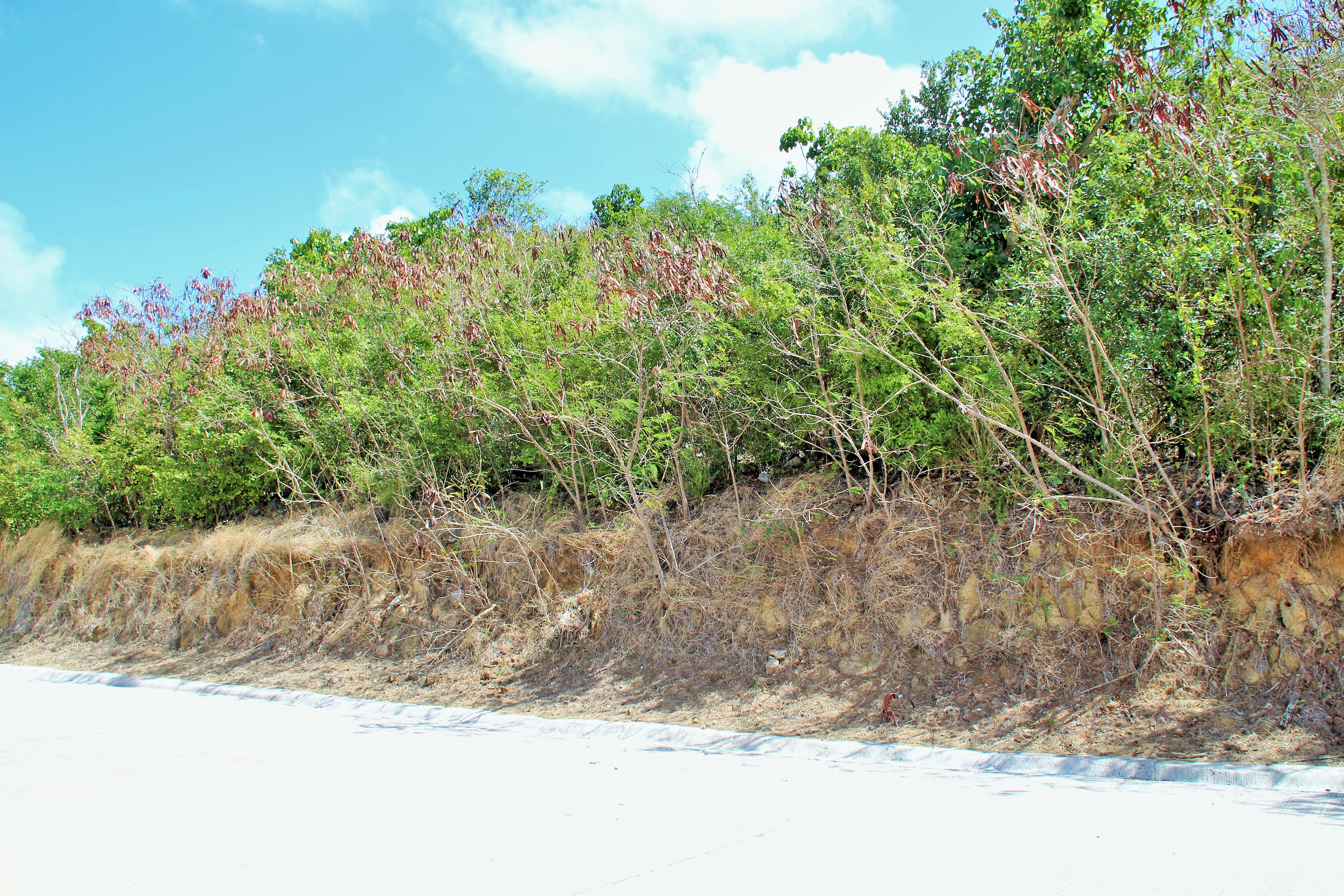 Rice Hill Estate Lot