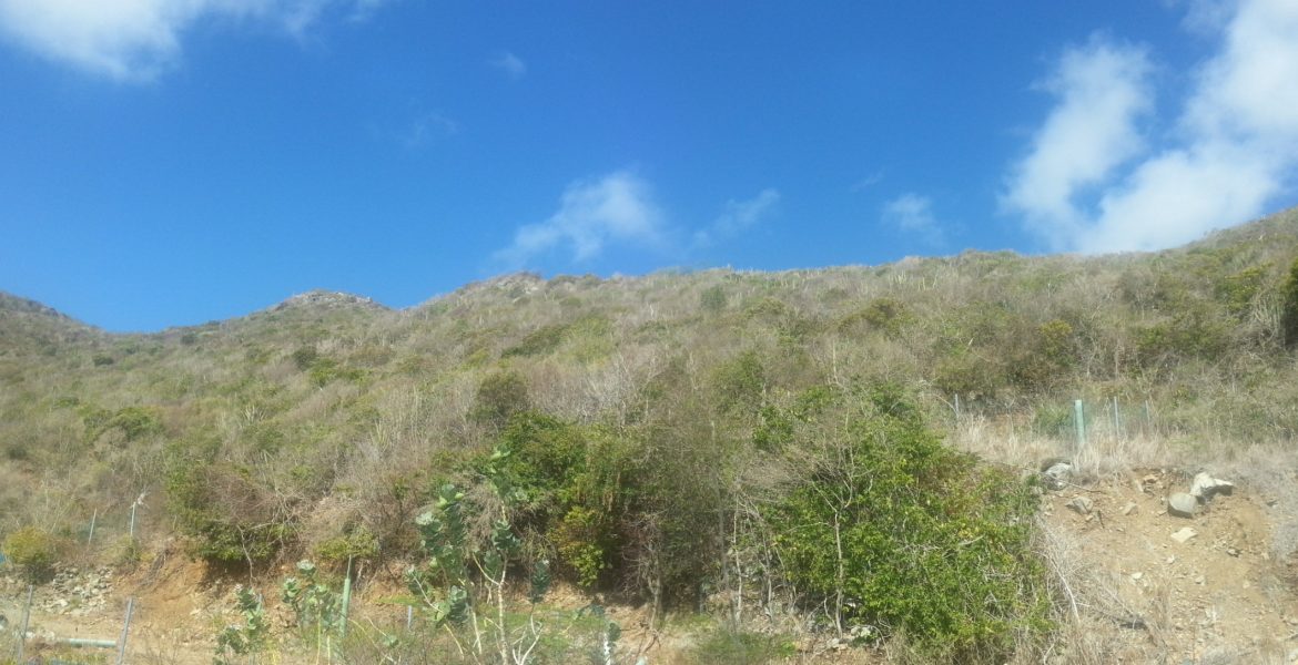 10 Acre Hillside Paradise,Land for Sale at Guana bay Century21 Island