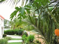 DEAL Large Cole Bay Diamond Estates Villa For Sale