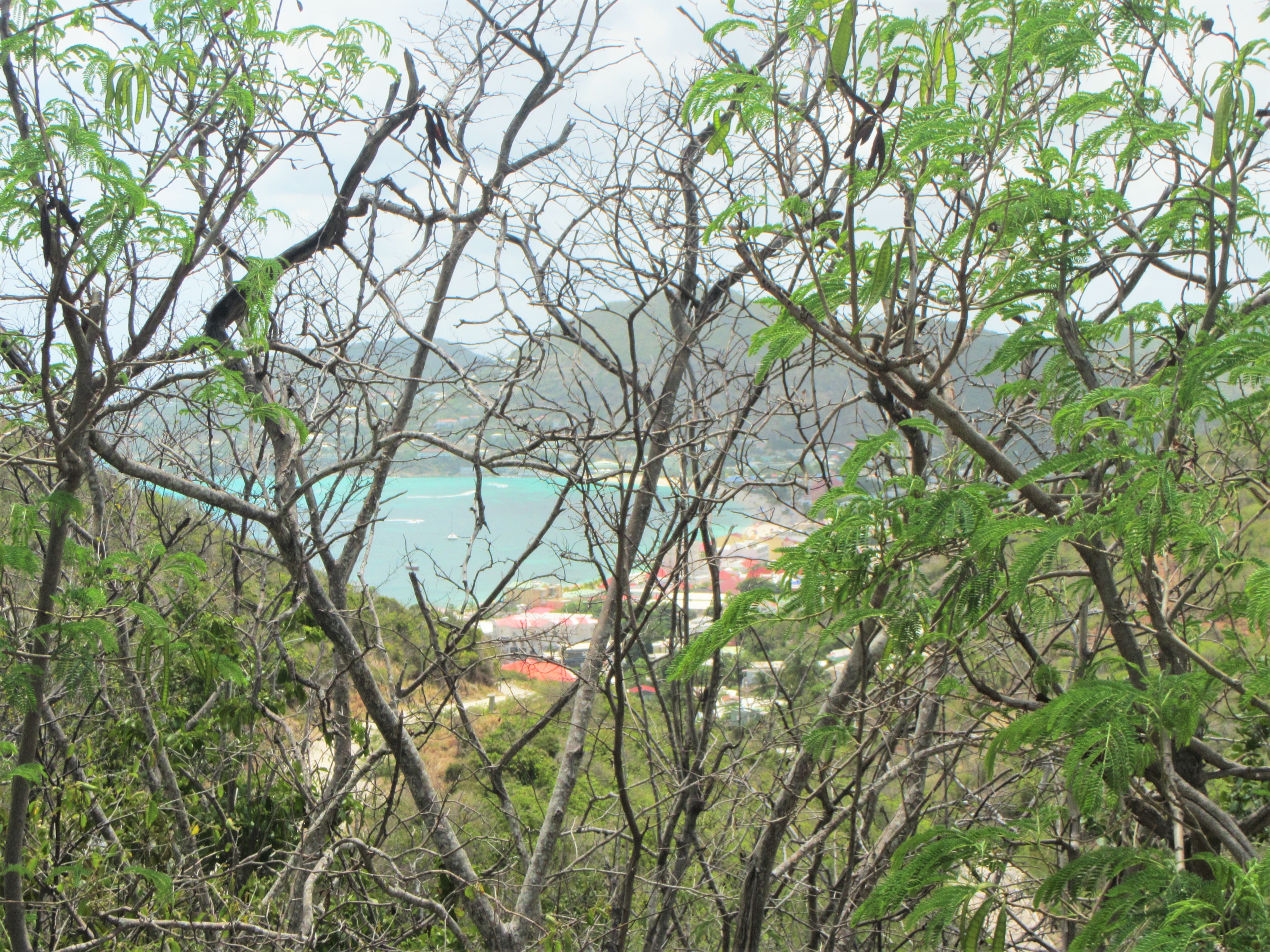 Great Bay Terrace Lot #16