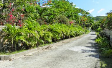 Oyster Pond Lot 26