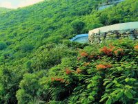 Casa Feliz Princess Heights