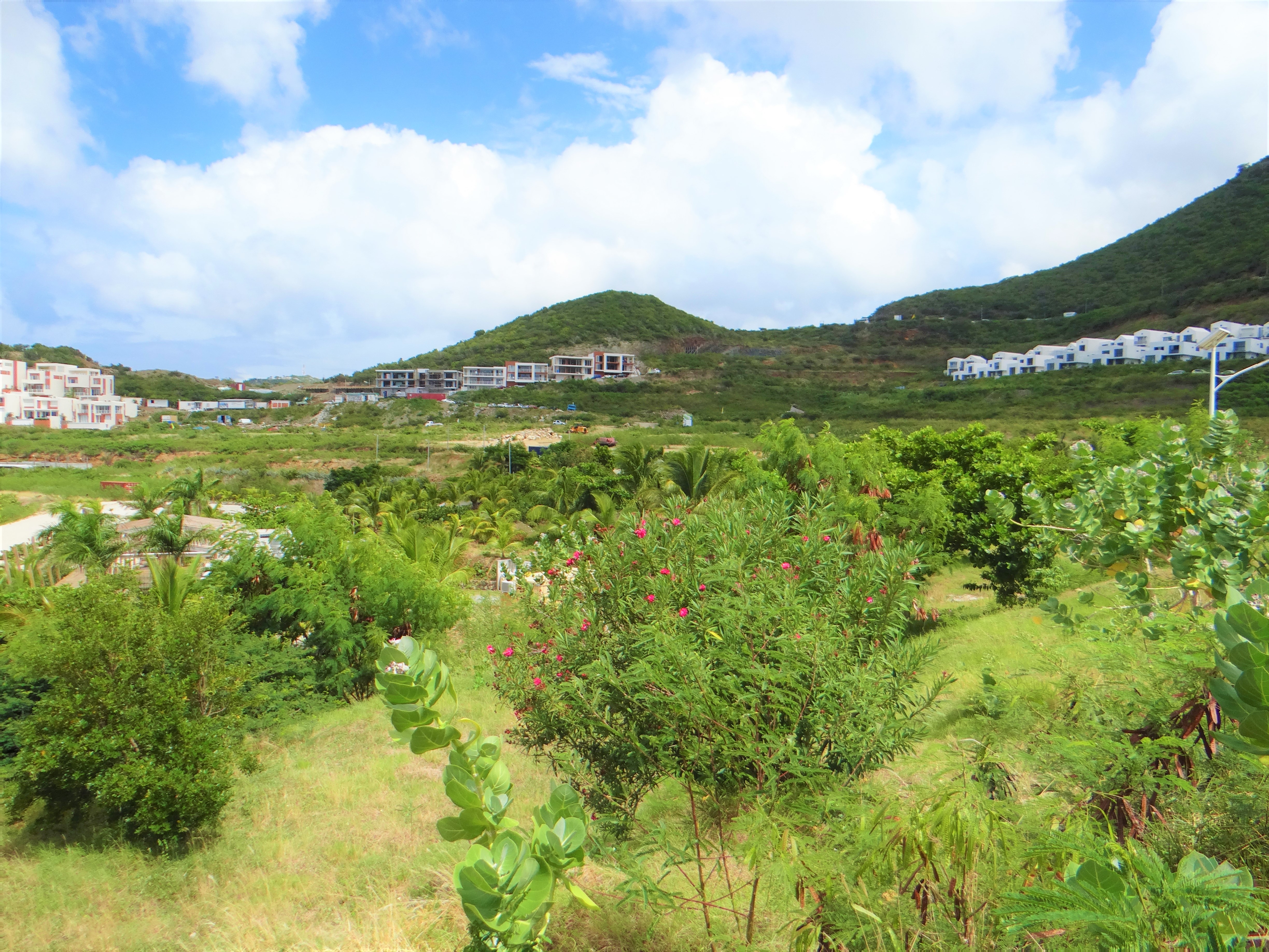 Indigo Bay Lot Beach Views ST. MAARTEN REAL ESTATE