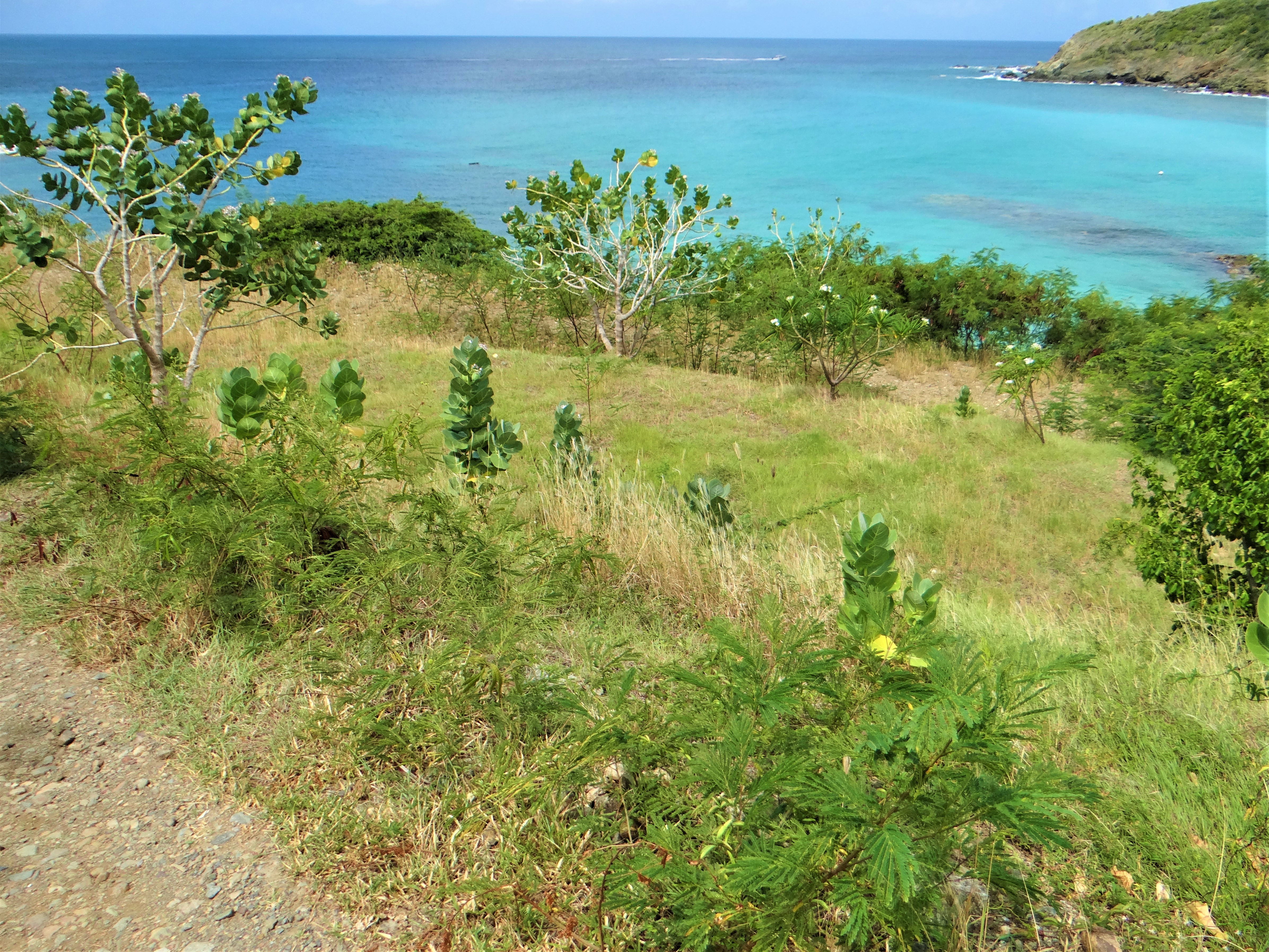 Indigo Bay Lot Beach Views ST. MAARTEN REAL ESTATE