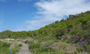 8 plots at Bloomingdale Estate – Guana Bay Land