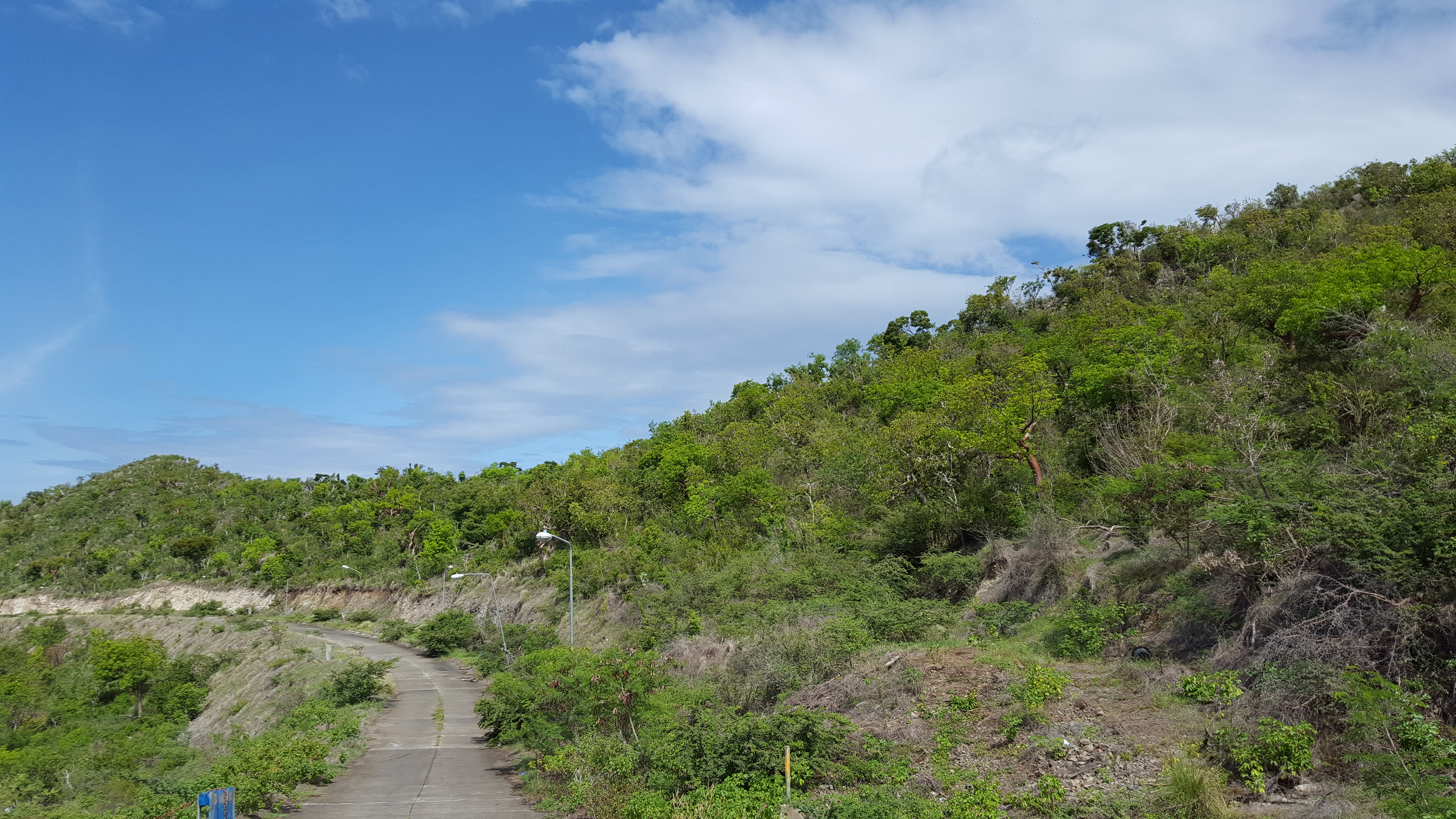 8 plots at Bloomingdale Estate – Guana Bay Land