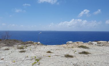 Seaside Cherry – Land