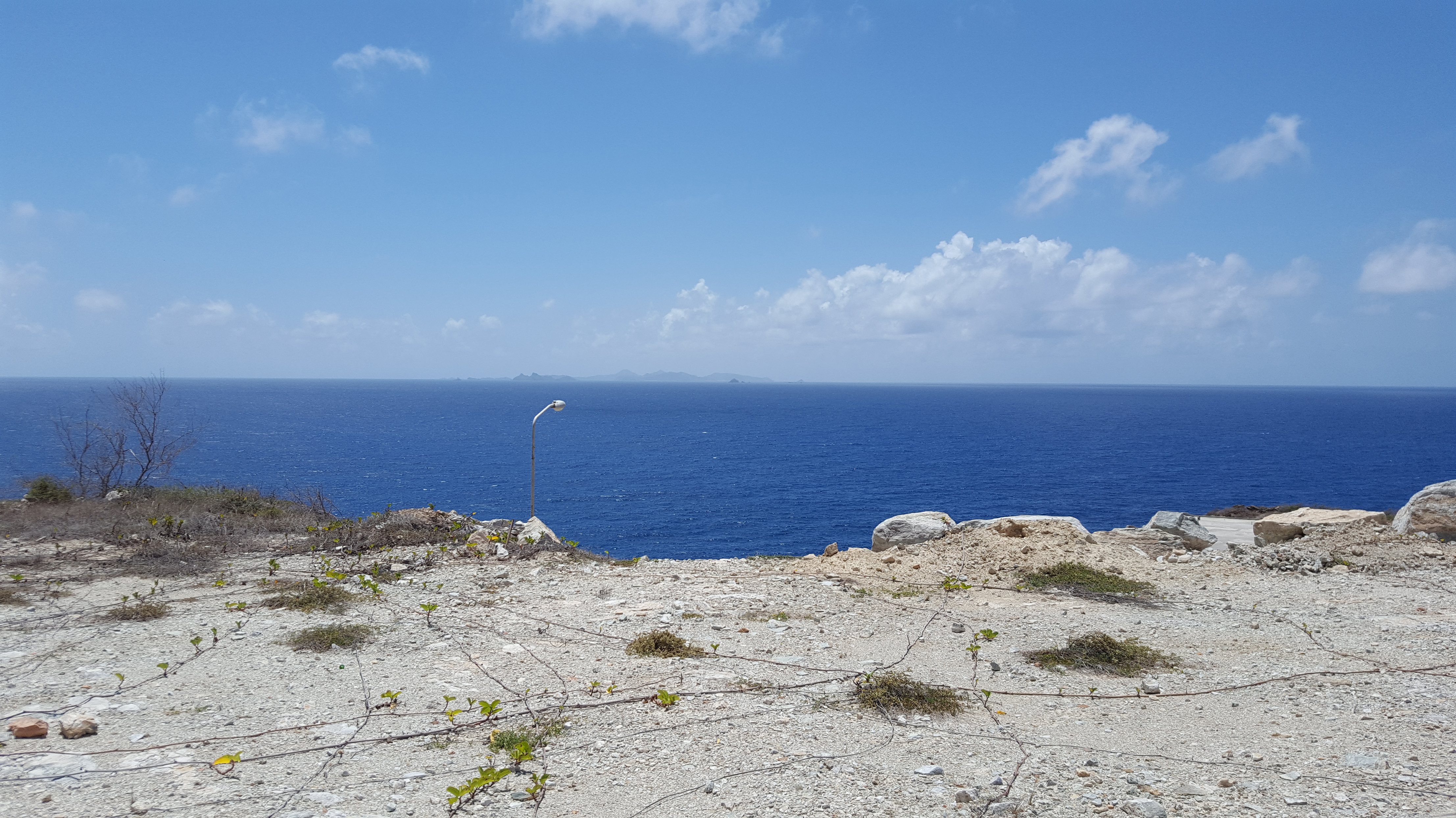 Seaside Cherry – Land