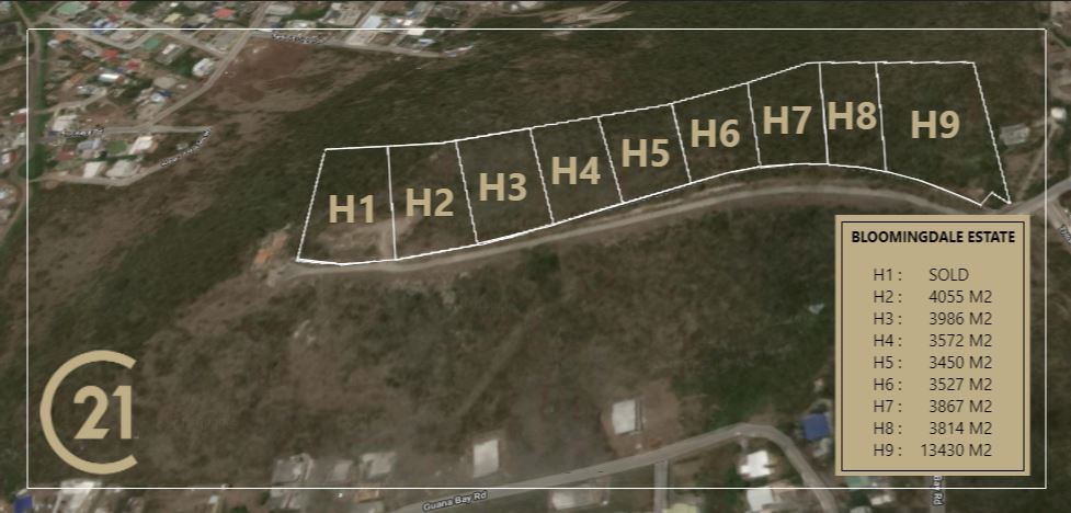 8 plots at Bloomingdale Estate – Guana Bay Land