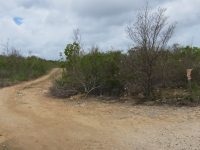 Cedar Village Land