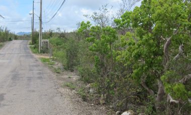 Cedar Village Land