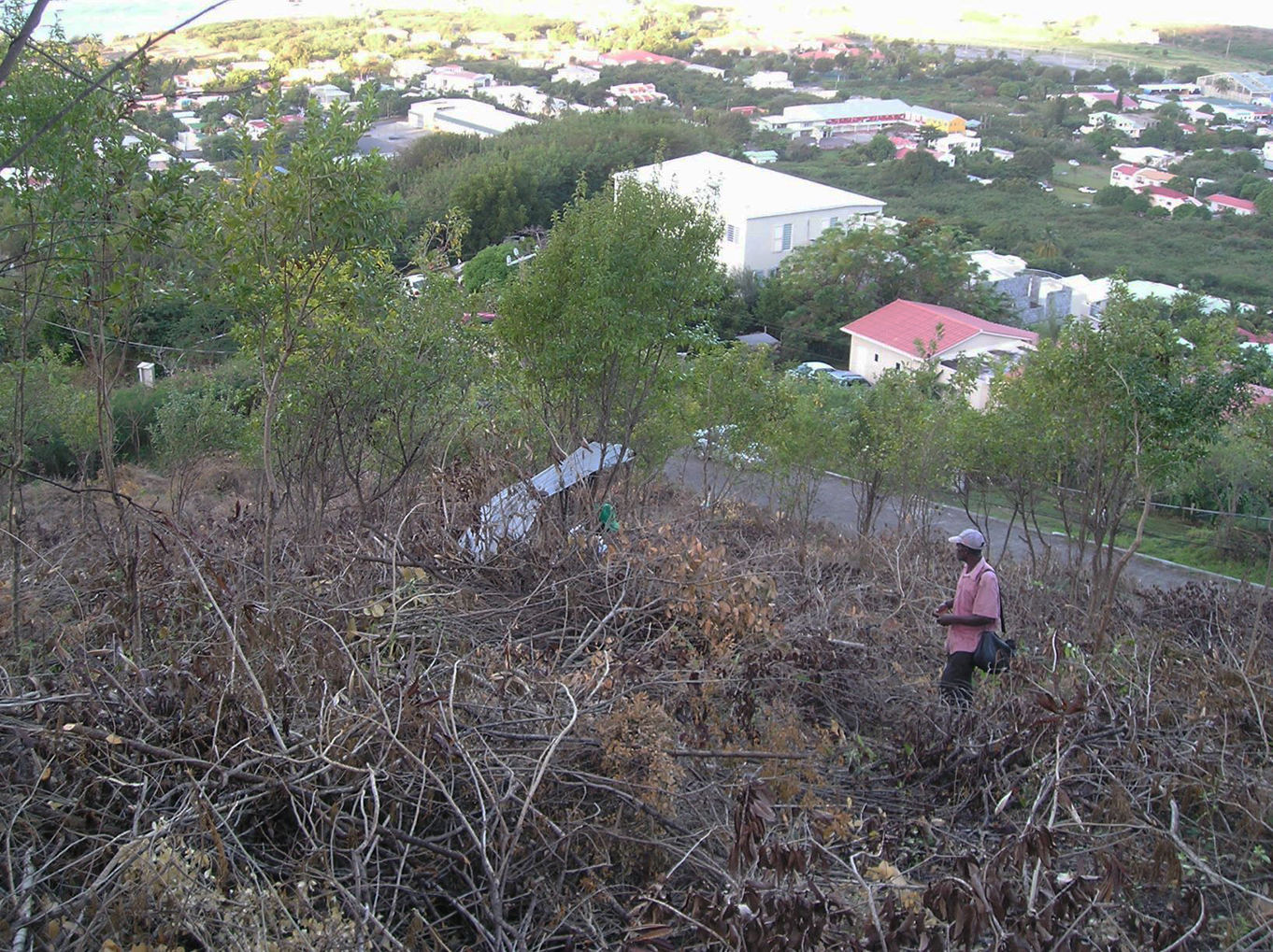 Hillside Development Land