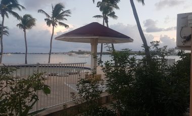 Flamboyant Hibiscus Modern Studio For Rent in Nettle Bay