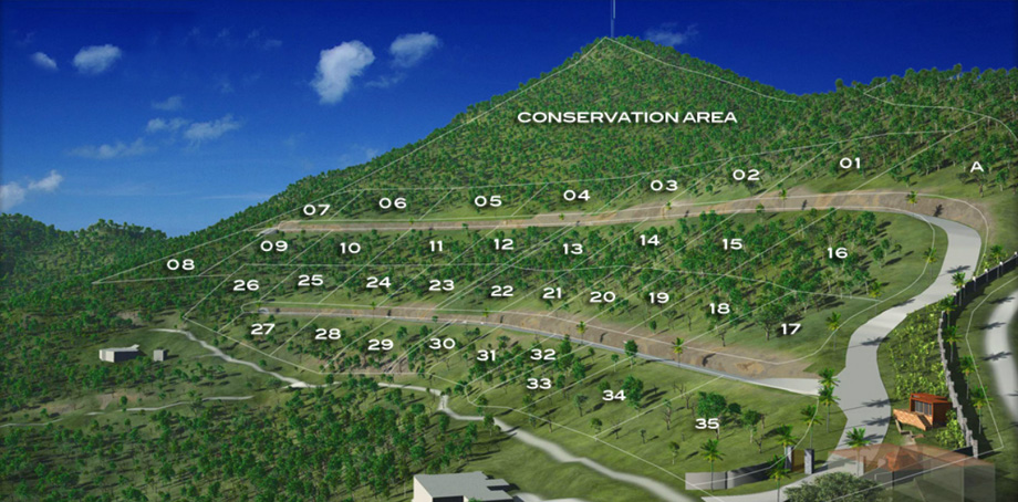Super Oceanview Red Pond Development Land For Sale