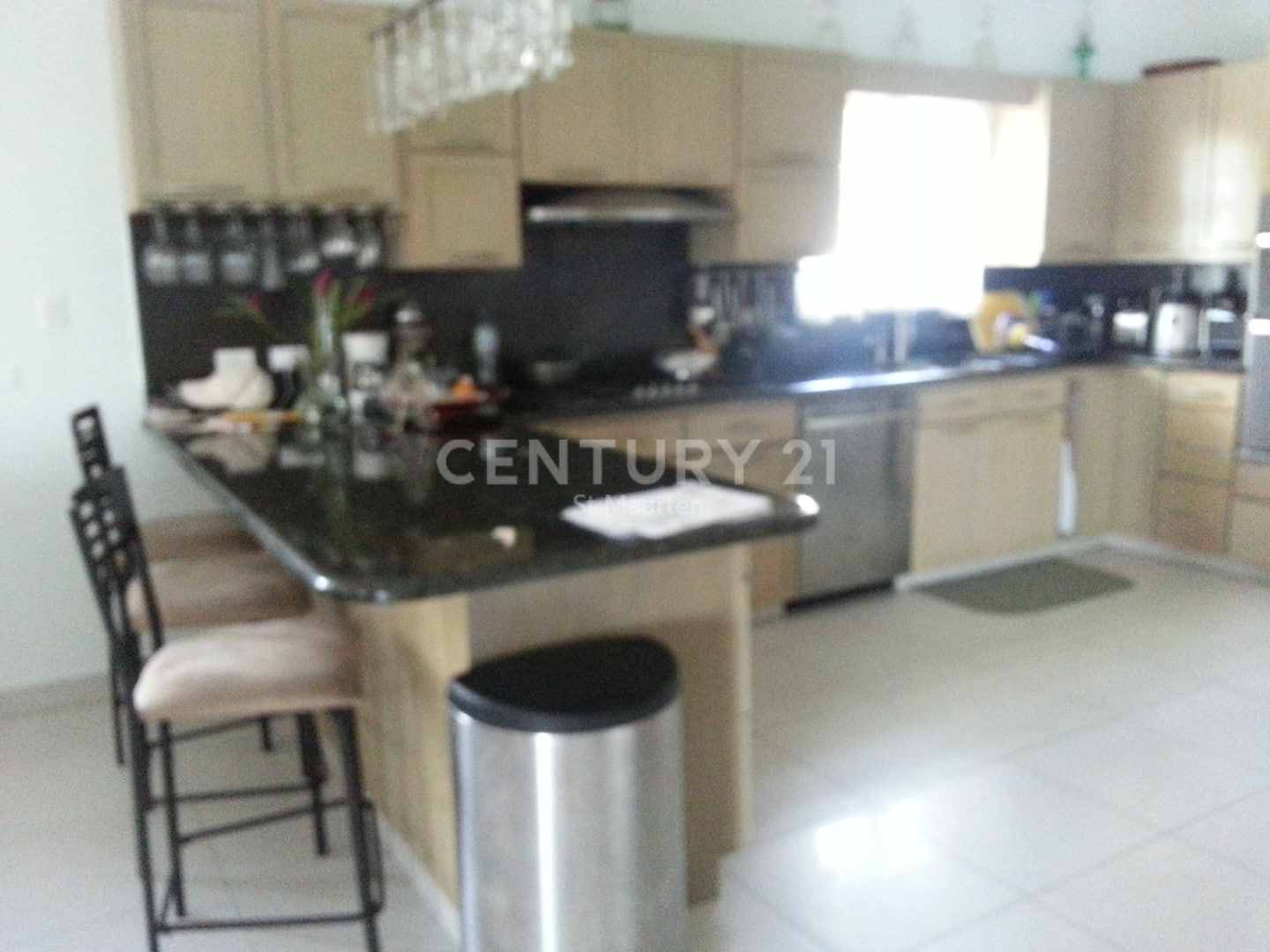  Chef's kitchen and breakfast counter 