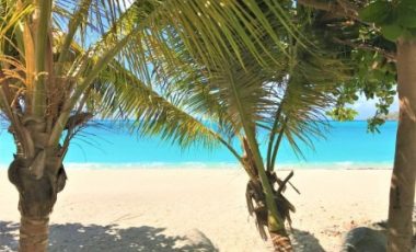 Beach Dream