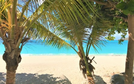 Beach Dream