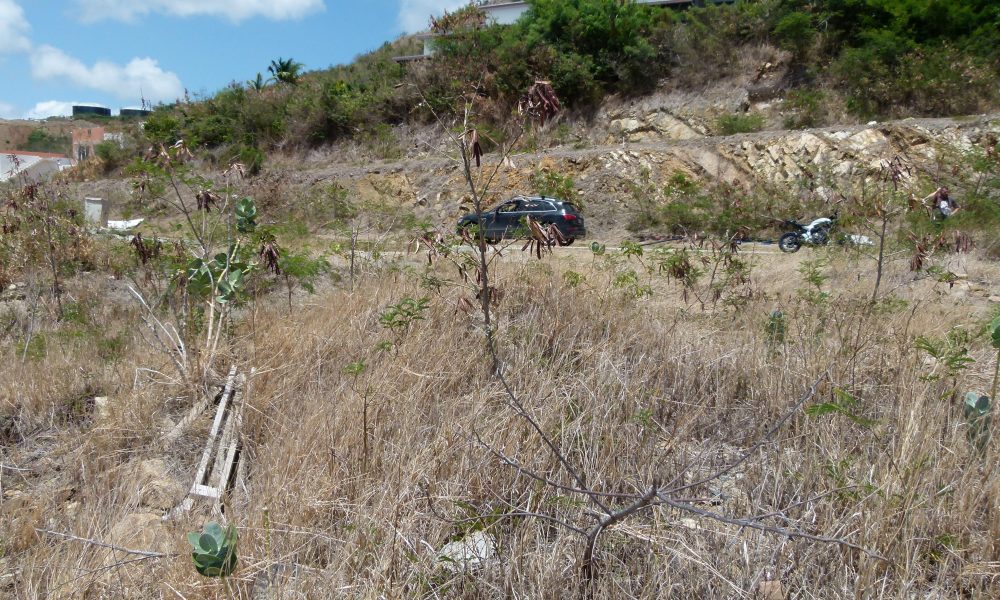 SXM land for sale Land For Sale Century21stmaarten