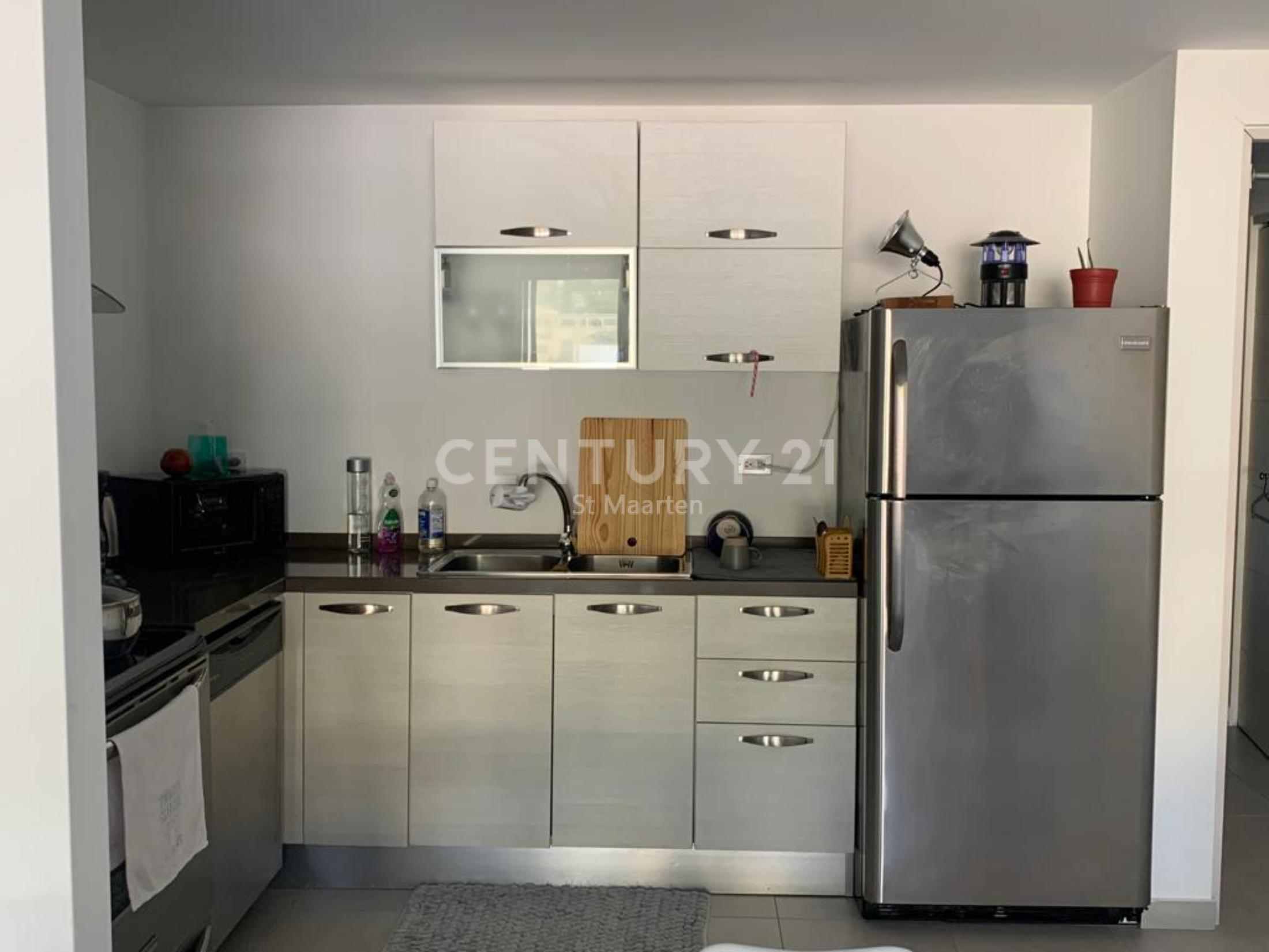  Seneca Condo Kitchen 