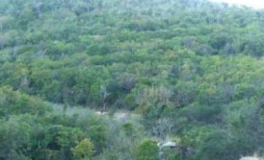 Cole Bay 10,000m2