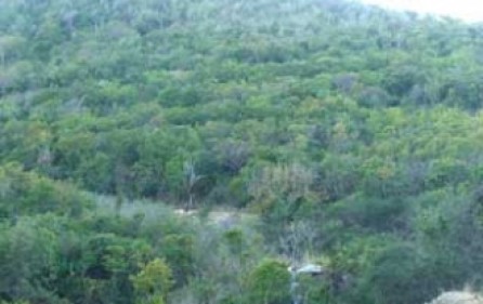 Cole Bay 10,000m2