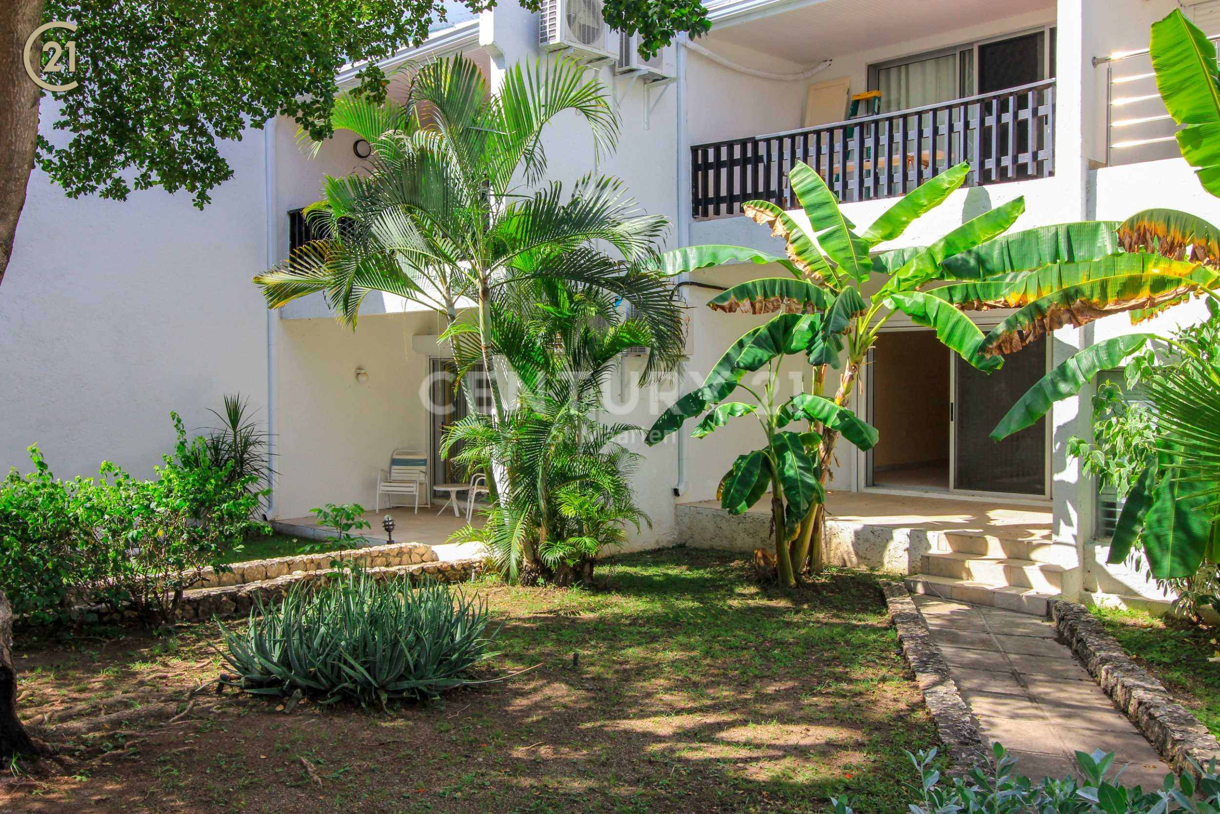  Cupecoy Beach Club Rental 