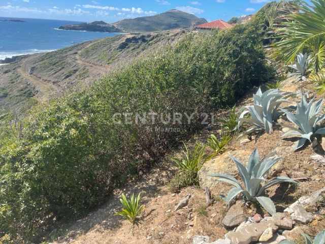 Magnificent Red Pond Land For Villa Construction