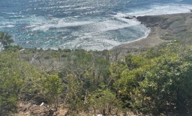Magnificent Red Pond Land For Villa Construction